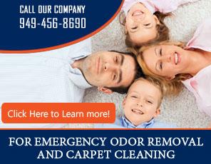 Blog | Why Use Eco Friendly Products For Carpet Cleaning