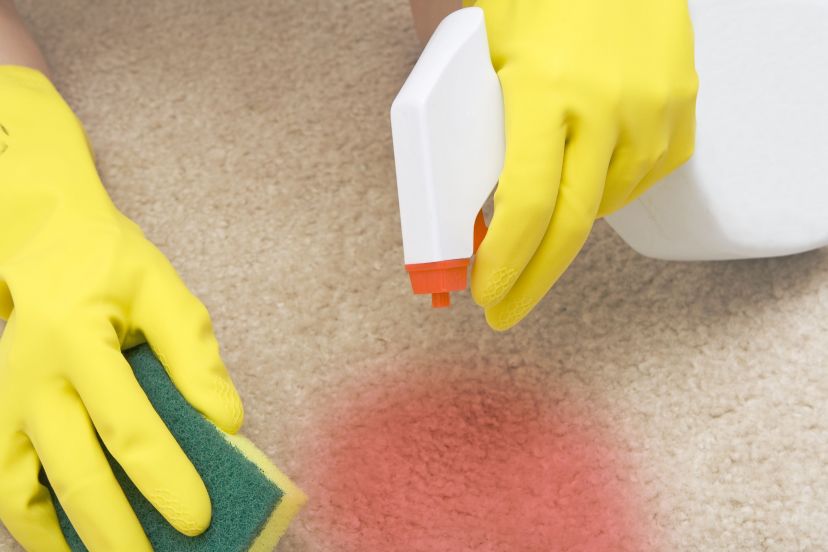 Why Use Eco Friendly Products For Carpet Cleaning