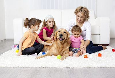 How To Save Your Carpets From Your Children Visitors And Pets