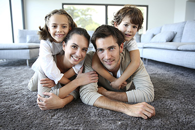 The Housekeepers Guide to Carpet Cleaning